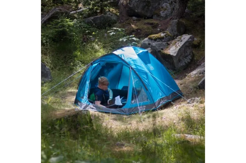 Vango alpha shop 300 tent